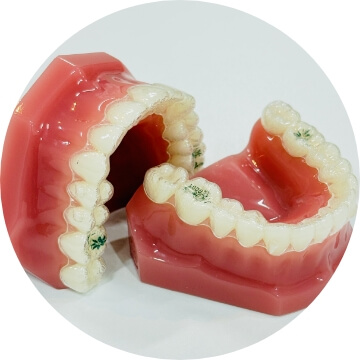 説明をするスタッフの写真